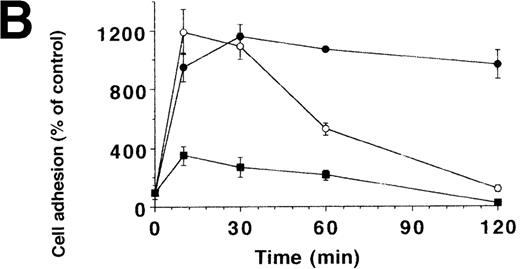 Fig. 4. Inhibition of uPA-induced cell adhesion by kininogen. / (A) uPA-induced U937 cell adhesion to VN was studied in the absence or presence of various concentrations of HK (open circles), HKa (filled circles), isolated domain 3 (filled triangles), domain 5 (open squares), or domain 6 (open triangles). (B) On a VN substrate, seeding of U937 cells together with uPA was performed in the absence (filled circles) and in the presence of 10 μg/mL HK (open circles) or 10 μg/mL HKa (filled squares), and the extent of cell adhesion was analyzed after various times as indicated. (C) After allowing the adhesion of U937 cells to VN in the presence of 50 nmol/L uPA for an incubation period of 90 minutes, 10 μg/mL HK (open circles), 10 μg/mL HKa (filled circles), or 100 nmol/L PAI-1 (open squares), respectively, was added, and the residual extent of cell adhesion was measured. Data are expressed as percentage of control, which is represented by the adhesion of cells in the absence of any stimulus or competitor. Data are mean ± SEM (n = 3) of a typical experiment; similar results were obtained in 3 separate experiments. (D) An adhesion assay with U937 myelomonocytic cells was performed in the absence (−) or presence of HK or HKa. After the incubation period for the adhesion assay (90 minutes), the supernatant was collected, centrifuged, and analyzed in a Western blot with the antibody HKH18, which is directed against domain 1 of kininogen and detects both HK and HKa. As a control, parallel wells without cells were incubated with the adhesion medium and HK or HKa. Molecular weight markers are indicated at the right margin. Similar results were observed in 3 separate experiments.