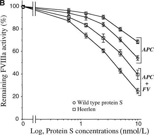 Fig. 6. APC-cofactor activity of protein S Heerlen in FVa- and FVIIIa-degradation assays. / (A) FVa-degradation assay. APC-mediated inactivation of wild-type FVa (solid lines) or FVa Leiden (dotted lines) was measured in the presence of wild-type protein S or protein S Heerlen. The mean of 2 independent experiments performed in duplicate are shown. (B) FVIIIa-degradation assay. Inactivation of FVIIIa was performed in either the absence or presence of FV, together with increasing concentrations of wild-type protein S or protein S Heerlen. The means ± SEM of 3 independent experiments performed in duplicate are shown.