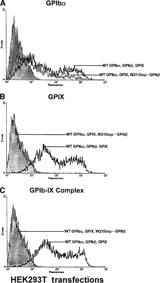 Fig. 6. Analysis of GPIb and GPIX in HEK 293T cells transfected with GPIb, GPIbβ, and GPIX. / HEK 293T cells were transiently transfected with wild-type GPIbα, GPIbβ, and GPIX or with wild-type GPIbα and GPIX and mutant W21stop-GPIbβ. The cells were analyzed with an anti-GPIbα polyclonal antibody, the anti-GPIX antibody FMC25, or the complex-specific antibody AK1 (each graph is representative of 4 different experiments). (A) In cells transfected with wild-type GPIbα, GPIbβ, and GPIX, there was a significant increase in fluorescence in cells in reaction to the anti-GPIbα polyclonal antibody (boldface lines) compared with mock-transfected cells (shaded area). In cells transfected with W21stop-GPIbβ and wild-type GPIbα and GPIX, GPIbα was detectable on the cell surface (thin line) but in significantly smaller amounts than in triple wild-type transfections. (B) In cells transfected with wild-type GPIbα, GPIbβ, and GPIX, GPIX was readily detectable on the cell surface (boldface line). However, GPIX was not detectable when W21stop-GPIbβ was transfected with wild-type GPIbα and GPIX (thin line). Mock-transfected cells are shown for comparison (shaded area). (C) There was a marked increase in surface fluorescence in cells transfected with wild-type GPIbα, GPIbβ, and GPIX in reaction to the complex-specific antibody, AK1 (boldface lines), compared with mock-transfected cells (shaded area) and cells transfected with wild-type GPIbα, GPIX, and mutant GPIbβ (thin line). Thus, GPIbα that was expressed on the cell surface (A) in the transfections involving the mutant GPIbβ was not recognized by AK1, thereby confirming the lack of surface expression of GPIX or complex formation.