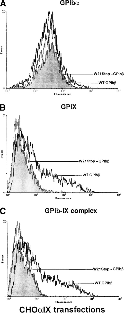 Fig. 7. Analysis of GPIb and GPIX in Chinese hamster ovary (CHO) IX cells transiently transfected with GPIbβ. / (A) CHOαIX cells expressing GPIbα and GPIX were additionally transfected with wild-type GPIbβ or the mutant W21stop-GPIbβ or were mock transfected with the expression plasmid alone. GPIbα was readily detectable in cells transfected with plasmid alone (shaded area), the mutant W21stop-GPIbβ (thin lines), or wild-type GPIbβ (boldface lines). (B) There was a significant increase in the surface expression of GPIX when wild-type GPIbβ (boldface lines) was transfected into CHOαIX cells compared with mock-transfected controls (shaded area) or cells transfected with the mutant W21stop-GPIbβ (thin line). (C) CHOαIX cells transfected with wild-type GPIbβ (boldface lines) were allowed to react with the complex-specific antibody AK1. Again, there was a marked increase in surface fluorescence compared with either the mock-transfected cells (shaded area) or the cells transfected with W21stop-GPIbβ (thin lines). Thus, the mutant GPIbβ failed to support the efficient expression of the GPIbα-IX complex on the surface of these cells.