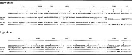 Fig. 2. Deduced protein sequences of isolated scFv. / Dashes indicate sequence identity to germline. Sequence numbering is in accordance with that of Kabat.29 FR, framework region; CDR, complementarity-determining region. Sequences are available from GenBank under accession numbers AF217789 (VH VK34), AF217790 (VH VK41),AF217791 (VL VK34), and AF217792 (VL VK41).