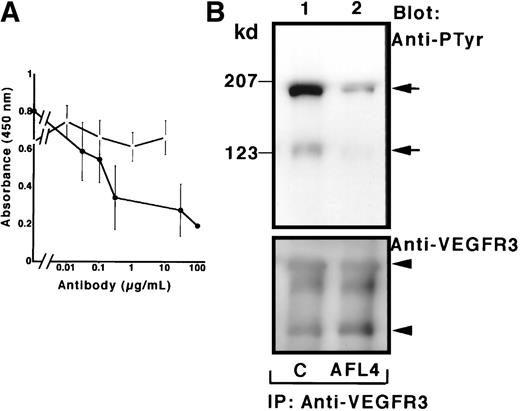 Fig. 2. AFL4 blocks VEGFR-3 function by inhibiting VEGF-C binding. / (A) Inhibition of binding of VEGFR-3 to VEGF-C by AFL4. Culture supernatant of 293 cells transfected with 5 myc-tagged VEGF-C DNA was incubated with various doses of AFL4 (•) or anti-VEGFR-2 mAb (○) and added to microtiter plates coated with mVEGFR-3-Fc. Binding was quantified by using the anti-myc mAb as a primary antibody, and absorbance at 450 nm was determined. Data indicate the background-corrected mean ± SEM from triplicate wells. (B) Tyrosine phosphorylation of VEGFR-3 in F2 cells was induced by VEGF-C CM in the presence of control IgG (lanes 1, 3) or AFL4 (lanes 2, 4). Total cell lysates were immunoprecipitated with anti-VEGFR-3 mAb and subjected to serial immunoblotting with anti-phosphotyrosine antibody (upper) and anti-VEGFR-3 mAb (lower). Arrows and arrowheads denote the positions of 195-kd and 125-kd forms of VEGFR-3. Relative density of bands against 125-kd bands of the control lanes (lane 1, upper and lower panels) were 195-kd/125-kd 3.7/1 (lane 1, upper), 0.9/0.2 (lane 2, upper), 0.78/1 (lane 1, lower), and 0.6/1.1 (lane 2, lower). Reduction ratios after correction by the amount of protein were 0.32 and 0.18 for 195-kd and 125-kd bands, respectively.