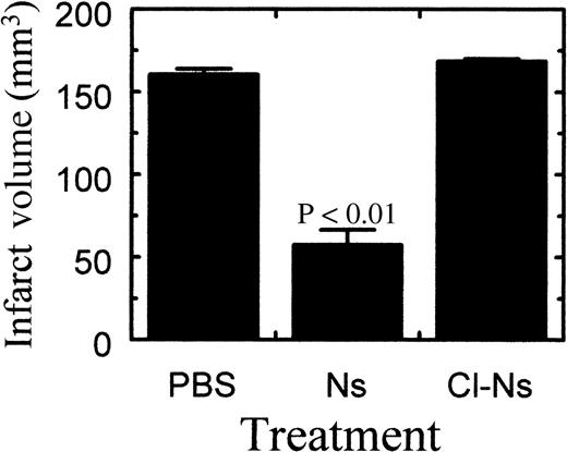 Fig. 3. Quantitative analysis of infarct volume 72 hours after reperfusion. / Quantitation of the stroke volume was performed as described in “Materials and methods.” PBS indicates animals injected with PBS (n = 8); Ns, animals injected with neuroserpin (n = 8); Cl-Ns, animals injected with elastase-cleaved inactive neuroserpin (n = 2).P values relative to the PBS-treated animals < .01 are shown, and errors represent SEM.