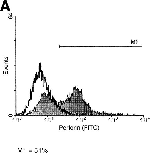 Fig. 6. Perforin binding on the surface of K562 and ML-2 cells. / Target cells were incubated for 4 hours with 30 μL PBS or with 100 μg total protein of the NK lysates. After 1 hour of incubation with a FITC-labeled antiperforin antibody or an FITC-labeled isotype antibody, cells were analyzed by flow cytometry. (A) K562 cells + perforin antibody, (B) ML-2 cells + perforin antibody, (C) K562 cells + isotype antibody, and (D) ML-2 cells + isotype antibody. Open histograms = cells with PBS, shaded histograms = cells with NK lysates. M1 indicates perforin-positive cells.