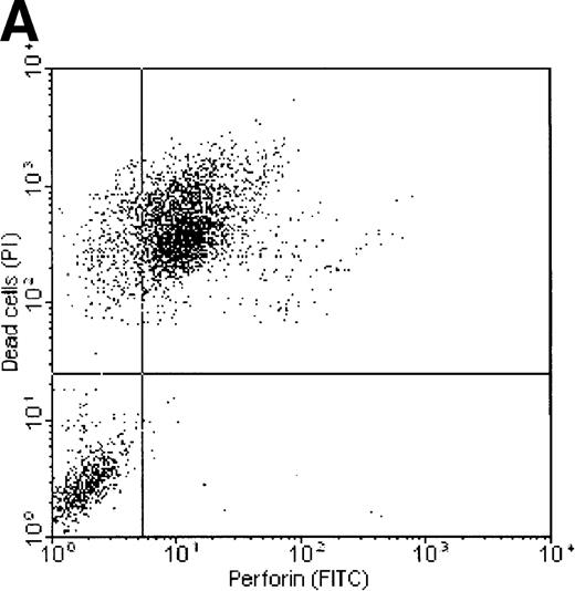 Fig. 7. Correlation of perforin binding and subsequent cell death of K562 and ML-2 cells. / The cells were incubated for 4 hours with 100 μg total protein of the NK lysates, 0.02% NP-40, or 10 U/mL complement. After staining dead cells with PI and perforin on the cell surface with a FITC-labeled perforin antibody, cells were analyzed in FL1 (FITC) versus FL2 (PI) dot plots by flow cytometry. (A) K562 cells + NK lysates, (B) ML-2 cells + NK lysates, (C) K562 cells + 10 U/mL complement, and (D) K562 cells + 0.02% NP-40.