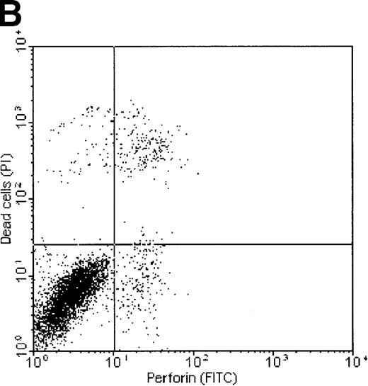 Fig. 7. Correlation of perforin binding and subsequent cell death of K562 and ML-2 cells. / The cells were incubated for 4 hours with 100 μg total protein of the NK lysates, 0.02% NP-40, or 10 U/mL complement. After staining dead cells with PI and perforin on the cell surface with a FITC-labeled perforin antibody, cells were analyzed in FL1 (FITC) versus FL2 (PI) dot plots by flow cytometry. (A) K562 cells + NK lysates, (B) ML-2 cells + NK lysates, (C) K562 cells + 10 U/mL complement, and (D) K562 cells + 0.02% NP-40.