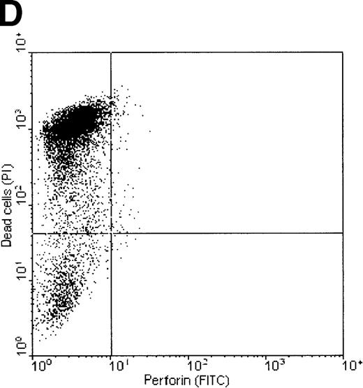 Fig. 7. Correlation of perforin binding and subsequent cell death of K562 and ML-2 cells. / The cells were incubated for 4 hours with 100 μg total protein of the NK lysates, 0.02% NP-40, or 10 U/mL complement. After staining dead cells with PI and perforin on the cell surface with a FITC-labeled perforin antibody, cells were analyzed in FL1 (FITC) versus FL2 (PI) dot plots by flow cytometry. (A) K562 cells + NK lysates, (B) ML-2 cells + NK lysates, (C) K562 cells + 10 U/mL complement, and (D) K562 cells + 0.02% NP-40.