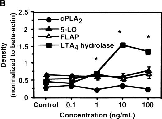 Fig. 2. The effect of IL-4 on mRNA expression for cPLA2, 5-LO, FLAP, and LTA4 hydrolase. / (A) Time-course study. After PMNs were incubated with 10 ng/mL of IL-4 for various periods of time, total RNA was isolated, and RT-PCR for cPLA2, 5-LO, FLAP, and LTA4hydrolase was performed as described in “Materials and methods.” The densities were measured and normalized by beta-actin. Results were shown as mean ± SEM (n = 4). *P < .05 versus control. (B) Dose-response study. After PMNs were incubated with various concentrations of IL-4 for 6 hours, total RNA was isolated, and RT-PCR for cPLA2, 5-LO, FLAP, and LTA4 hydrolase was performed.