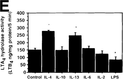 Fig. 7. Effect of IL-4, IL-10, IL-13, IL-6, IL-2, and LPS. / (A) Effect of IL-4, IL-10, IL-13, IL-6, IL-2, and LPS on A23187-stimulated production of LTB4. PMNs were incubated with IL-4 (10 ng/mL), IL-10 (100 ng/mL), IL-13 (100 ng/mL), IL-6 (100 ng/mL), IL-2 (10 ng/mL), or LPS (100 ng/mL) for 6 hours. A23187-stimulated LTB4 production was measured by RIA as described in “Materials and methods.” Data represent mean ± SEM (n = 4). *P < .05 versus control. (B) Effect of IL-4, IL-10, IL-13, IL-6, IL-2, and LPS on mRNA expression for LTA4 hydrolase. After PMNs were incubated with IL-4 (10 ng/mL), IL-10 (100 ng/mL), IL-13 (100 ng/mL), IL-6 (100 ng/mL), IL-2 (10 ng/mL), or LPS (100 ng/mL) for 6 hours, total RNA was isolated and RT-PCR for LTA4 hydrolase was performed as described in “Materials and methods.” (C) Northern blot analysis for LTA4 hydrolase. After PMNs were incubated with IL-4 (10 ng/mL), IL-10 (100 ng/mL), IL-13 (100 ng/mL), or LPS (100 ng/mL) for 6 hours, total RNA was isolated and Northern blot analysis for LTA4 hydrolase was performed as described in “Materials and methods.” The same membrane was rehybridized with a human beta-actin probe as a control. The positions of marker RNA are indicated by arrows. (D) Effect of IL-4, IL-10, IL-13, IL-6, IL-2, and LPS on protein expression of LTA4 hydrolase. PMNs were incubated with IL-4 (10 ng/mL), IL-10 (100 ng/mL), IL-13 (100 ng/mL), IL-6 (100 ng/mL), IL-2 (10 ng/mL), or LPS (100 ng/mL) for 6 hours. The cell lysates were prepared. Equal amount of protein (20 μg) were applied on 8% SDS-PAGE and electro-transferred onto nitrocellulose membrane. Western blot analysis was performed with anti-cPLA2, anti-5-LO, or anti-LTA4 hydrolase antibody as described in “Materials and methods.” The positions of molecular marker proteins are indicated by arrows. (E) Effect of IL-4, IL-10, IL-13, IL-6, IL-2, and LPS on LTA4 hydrolase activity. After PMNs were incubated with IL-4 (10 ng/mL), IL-10 (100 ng/mL), IL-13 (100 ng/mL), IL-6 (100 ng/mL), IL-2 (10 ng/mL), or LPS (100 ng/mL) for 6 hours, the cell lysates were prepared and incubated with LTA4 at 37°C for 5 minutes. The supernatant was recovered, and the concentration of LTB4 was measured by HPLC as described in “Materials and methods.” Data represent mean ± SEM (n = 4). *P < .05 versus control.