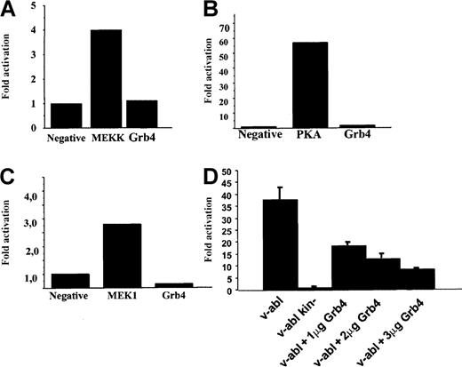 Fig. 6. Grb4 expression does not activate the JNK, Elk1, or the CREB signaling pathway but inhibits v-Abl–induced AP-1 activation. / (A-C) JNK, Elk1, and CREB pathway. We transiently transfected 1 × 105 293 cells with a plasmid expressing Grb4, a beta-galactosidase construct to normalize for transfection efficiency, and a construct for the expression of a fusion transcription factor encoding the DNA-activation domain of Jun, Elk, or CREB and the DNA-binding domain of GAL4. The luciferase gene was under the control of the GAL4 promoter. As a positive control, mitogen-activated protein kinases (MEKK in panel A, MEK1 in panel C) and protein kinase A (PKA in panel B) were used. Results are representative of at least 3 independent experiments. (D) AP-1 activation. We transiently transfected 293 cells with 1 μg of a plasmid expressing v-abl or kinase-inactive v-abl together with increasing amounts of a plasmid expressing Grb4 as indicated, beta-galactosidase, and a reporter construct with 7 AP-1 sites upstream of the luciferase gene. In each reaction, equal amounts of DNA were transfected. Results are the mean and SD determined from an experiment done in triplicate reproduced at least 3 times.