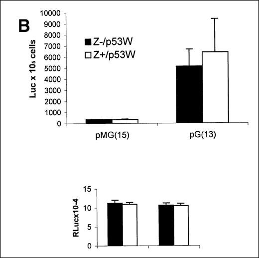 Fig. 3. p53-dependent transcription determined by luciferase activity of reporter plasmid pG13PYluc. / (A) Jurkat cells stably expressing ZEBRA (Z+) and control cells (Z−) were transiently transfected with 200 ng of reporter plasmids (pG13PYluc or pGM15PYluc) and with 500 ng of p53 expression plasmids for either p53W or p53C. Significant transcription activation was detected with pG13PYluc reporter, but not with mutated pGM15PYluc reporter in Z+ cells with cotransfection of 53W (*P < .05) or 53C (**P < .05). In the absence of cotransfected p53, transcription of p53 reporter genes was extremely low in both Z+ and Z− cells. (B) Parental Jurkat cells were transiently transfected with ZEBRA (500 ng) and p53 expression plasmids (500 ng) with reporter plasmids (200 ng). Transcription of pG13PYluc with cotransfection of p53W was slightly increased by transient cotransfection of pSV2-neo-WZhet ZEBRA expression plasmid (Z+) compared to transient transfection of control plasmid pSV2-neo (Z−), but this increase was not significant (P > .05) in pooled experimental data. Transcription of mutated pGM15PYluc reporter was not activated by transient transfection of either p53 or ZEBRA.