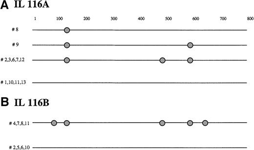 Fig. 1. BCL-6 mutations in FCL transformation. / Schematic representation of the BCL-6 5′ noncoding region mutations in molecular clones derived from FCL diagnosis biopsy specimen (A) and transformation to DLBCL biopsy specimen (B) from representative IL116 case, demonstrating intraclonal diversification at diagnosis and acquisition of new mutations in DLBCL biopsy specimens. Each sequence is represented as a horizontal line. The first nucleotide of the amplified BCL-6 gene region, corresponding to the first nucleotide of the sense primer, is arbitrarily defined as position +1. In each sequence, mutations are indicated as circles. The nature of each mutation is specified in Table1.