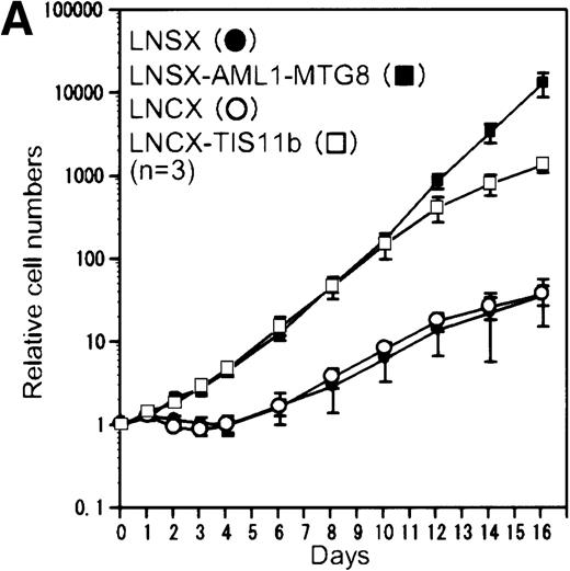 Fig. 4. Overexpression of TIS11b. / Overexpression of TIS11b induced G-CSF–dependent proliferation of L-G cells but did not block their terminal differentiation as completely as AML1-MTG8. (A) G-CSF–dependent growth of control (LNSX and LNCX) and AML1-MTG8- and TIS11b-expressing L-G cells. Three infections were independently performed for each construct. These infected cells were separately cultured in the presence of 10 ng/mL G-CSF instead of IL-3. The averages of these 3 experiments are shown. Error bars indicate standard deviations. (B) Comparison of the expression of TIS11bby Northern blotting analysis in control (LNSX and LNCX) and AML1-MTG8- and TIS11b-expressing L-G cells. The membrane was successively hybridized with mouse TIS11b cDNA and human G3PDH cDNA. The positions of bands representing the endogenous TIS11b and the exogenousTIS11b genes, whose expression was directed by the LTR (upper) and the CMV promoter (lower) of the LNCX vector, are indicated on the right. The signal of the lower exogenous TIS11b gene transcript was about 10-fold higher than that of the endogenous TIS11bgene transcript in control cells. (C) Western blotting analysis of the expression of AML1-MTG8 and TIS11b in the infected L-G cells. Each protein was detected with anti-HA antibody. The positions of bands of AML1-MTG8 and TIS11b are indicated on the right. (D) Nuclear morphology of the L-G infectants when cultured in the presence of G-CSF. The cells cultured in the presence of G-CSF were stained with May-Grünwald and Giemsa solutions at the indicated days.