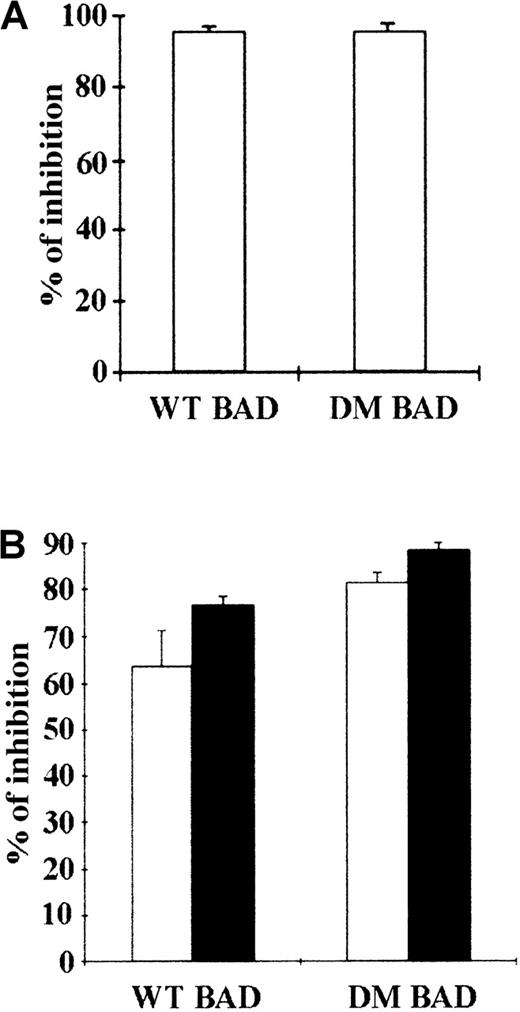 Fig. 2. Inhibition of colony formation by transient overexpression of WT or DM BAD. / (A) Parental 32D cells were cocultured with LXSP-, WT HA-BAD/LXSP–, or DM HA-BAD/LXSP–transfected BOSC 23 cells. After 48 hours, infected cells were plated in methylcellulose in the presence of IL-3 and puromycin (2.5 μg/mL). Colonies were counted 10 days later. The effect of BAD on the clonogenic capacity of infected cells is expressed as percentage of inhibition of the clonogenic ability of vector-infected cells. (B) BCR/ABL-expressing cells were cocultured with LXSP-, WTHA-BAD/LXSP–, or DMHA-BAD/LXSP–transfected BOSC 23 cells and plated in methylcellulose in the presence of puromycin (2.5 μg/mL). The percentage of inhibition of clonogenic activity (mean + SD) in the presence (□) or absence (▪) of IL-3 is representative of 3 independent experiments.