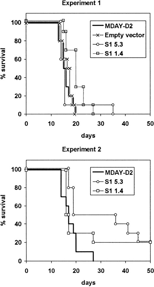 Fig. 5. Survival of mice injected with S1 transfectants. / Mice were injected with either the empty vector control transfectants or one of the 2 transfectant clones S1 1.4 and S1 5.3 expressing the S1 catalytic subunit of pertussis toxin. The mice were killed when moribund. The results from 2 independent experiments are shown.