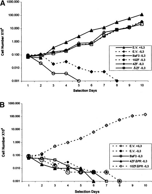 Fig. 5. Ba/F3 transformation, by ZNF198–FGFR1, requires ZNF198 proline-rich region but not ZNF198 zinc fingers. / Ba/F3 cells were infected with various ZNF198–FGFR1 retroviral constructs. After G418 selection, the cells were cultured without IL-3, and viable cells were counted daily for 10 days. (A) Ba/F3 cells expressing an N-terminal truncated ZNF198–FGFR1 lacking all zinc fingers, but containing the ZNF198 proline-rich region (ΔZF/MSCV), proliferate as well in the absence of IL-3 as Ba/F3 expressing full-length ZNF198–FGFR1 isoforms (4ZF/MSCV and 10ZF/MSCV). Controls included Ba/F3 cells infected with empty vector and cultured in medium with or without IL-3, and uninfected Ba/F3 cells cultured without IL-3. (B) Ba/F3 cells expressing 4 and 10 zinc finger ZNF198–FGFR1 lacking the proline-rich region (4ZFΔPR/MSCV and 10ZFΔPR/MSCV) do not proliferate in the absence of IL-3. Controls are as in A.