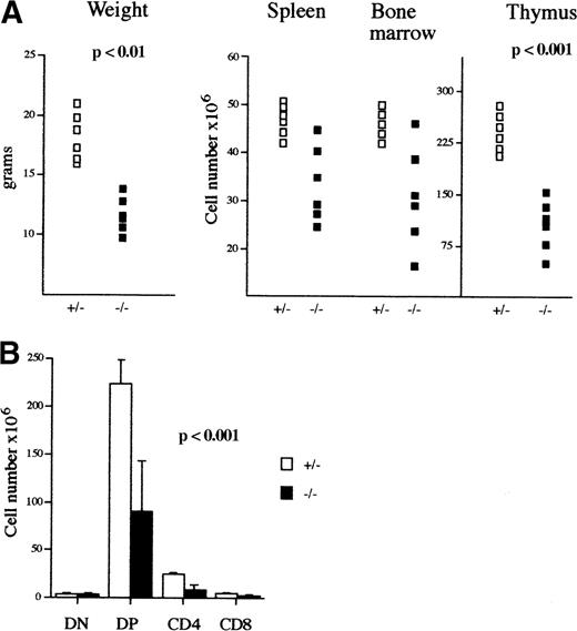 Fig. 2. Phenotypic analysis of mAF4−/− mice. / (A) Body weight (g), lymphoid cell content of spleen, bone marrow, and thymus (×106) of 3-week-old mAF4 mutant (▪) and control (□) mice. (B) Absolute number of thymocyte subpopulations from 3-week-old mAF4−/− and wild-type mice (6 mice per group) stained to reveal CD4 and CD8 distribution.