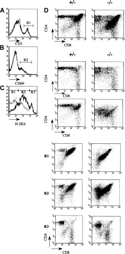 Fig. 3. Flow cytometric analysis of thymocytes in 3-week-old mAF4 mutant mice. / (A) Distribution of the CD4 and CD8 markers in mutant and control mice. (B) CD3+ cells (gate R1) on CD4 and CD8 thymocytes in mutant versus control mice. Histograms are plotted as overlays of the control thymocytes (black line) and AF4 mutant thymocytes (gray line). (C) H-2Kb distribution on CD4 and CD8 cell populations. Gates are H-2Kb low (R1), H-2Kb intermediate (R2), and H-2Kb high (R3). (D) CD69 distribution on CD4 and CD8 thymocytes. Data are displayed as dot plots with log scale. Data are representative of 6 control mice and 6 mAF4−/− mice.