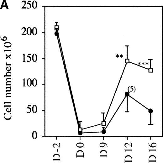 Fig. 4. AF4 is required for normal thymocyte expansion. / Thymus from mAF4−/− glucocorticoid-treated mice show a decrease in the reconstitution of the number of DP cells. (A) Kinetic analysis of thymocyte reconstitution. T-cell counts after glucocorticoids in mutant (•) and control (□) mice over a 2-week period. Data are representative of 6 control mice and 6 mutant mice except when indicated. Two-tailed Student P value is shown, where significant. **P < .05; ***P < .001. (B) FACS analysis was performed on thymocytes of control and mutant mice at day 0 (d0), day 9, and day 12 after the glucocorticoid injections as indicated in “Materials and methods.” T-cell maturation was assayed using the CD4 and CD8 markers. Results shown are representative of 6 separate experiments.