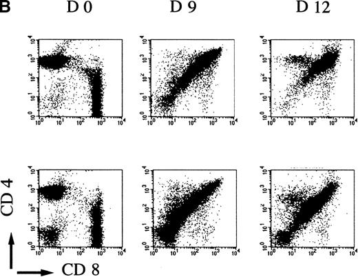Fig. 4. AF4 is required for normal thymocyte expansion. / Thymus from mAF4−/− glucocorticoid-treated mice show a decrease in the reconstitution of the number of DP cells. (A) Kinetic analysis of thymocyte reconstitution. T-cell counts after glucocorticoids in mutant (•) and control (□) mice over a 2-week period. Data are representative of 6 control mice and 6 mutant mice except when indicated. Two-tailed Student P value is shown, where significant. **P < .05; ***P < .001. (B) FACS analysis was performed on thymocytes of control and mutant mice at day 0 (d0), day 9, and day 12 after the glucocorticoid injections as indicated in “Materials and methods.” T-cell maturation was assayed using the CD4 and CD8 markers. Results shown are representative of 6 separate experiments.