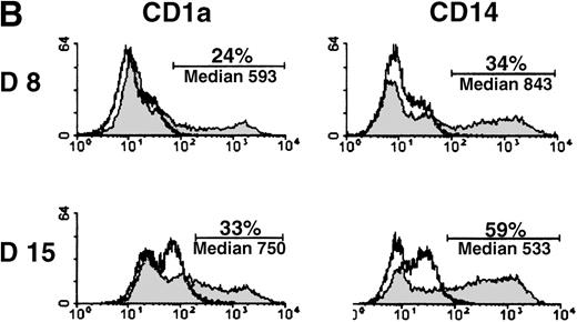 Fig. 4. Expression of MADDAM mRNA during the differentiation process of CD34+ cells into DCs in vitro. / CD34+ cells were cultured up to 15 days with FCS, stem cell factor, TNF-α, and GM-CSF (A). Total RNA was isolated and Northern blot analysis was performed as described in “Materials and methods.” As a control for RNA loading, the membrane was rehybridized with an 18S rRNA-oligonucleotide and MADDAM signals were normalized to the corresponding 18S signals. In parallel, flow cytometry analysis was performed with anti-CD1a-PE, anti-CD14-FITC, and isotype control antibodies at day 8 and day 15 of culture. The median fluorescence and the number of positive cells are shown (B).