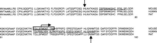 Fig. 6. The N-termini of the pre-eALAS protein from mouse, human, and rat. / The downward arrow indicates mitochondrial processing peptidase (MPP) cleavage of the signal peptide.16 The reported cleavage is estimated to be within the boxed region. Horizontal bars show amino acids affected by alternative splicing: 15 amino acids (positions 61-75) for mouse eALAS24 and 37 amino acids (positions 102-138) for human eALAS.25 The bent arrow marks the N-terminus of the functional protein expressed from plasmid pTAD-ALAS2,27 and the upward arrow marks the N-terminus for a functional rat eALAS in vitro.28