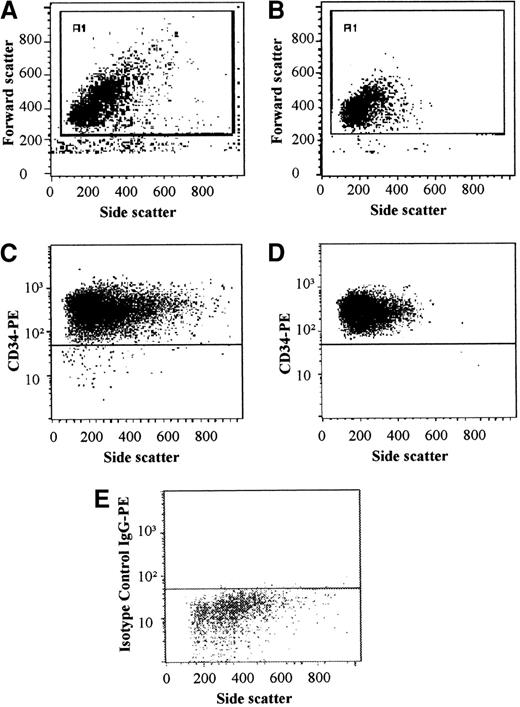 Fig. 1. Bone marrow–derived CD34+ cells were enriched with the use of a 2-step method. / Purity was analyzed after Minimacs (A, FSC/SSC; C, CD34/SSC; E, isotype control IgG/SSC), obtaining a mean purity of greater than 95%. Only cells with lymphoblastoid characteristics were sorted. Final purity after FACS with a FACSVantage was greater than 99.5% (B, FSC/SSC; D, CD34/SSC).