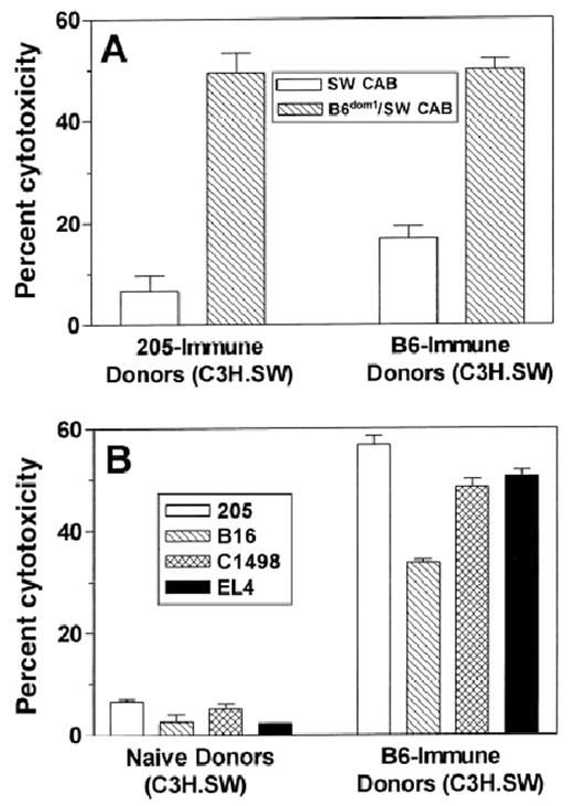 Fig. 9. Tumor immunization of C3H.SW BMT donors induces a response to the mHAg B6dom1 found on all C57BL/6 tumor targets tested. C3H.SW (donor strain) mice were immunized twice with 5 × 106irradiated 205IL-2/TK cells (205-immune) or 20 × 106 C57BL/6 spleen cells (B6-immune) at a weekly interval, or they were not immunized (naı̈ve). Ten days after the 2nd vaccine, their splenocytes were stimulated for 5 days in vitro with C3H.SW spleen cells loaded exogenously with B6dom1 peptide. A 51Cr-release assay was performed using the targets specified in the graphs. B6dom1/SW CAB indicates C3H.SW ConA lymphoblast targets that were loaded exogenously with B6dom1 peptide, whereas SW CAB were not loaded with peptide. Data shown are at an E:T ratio of 100:1, and each effector:target condition was performed in triplicate using splenocytes pooled from 2 or 3 mice. Panels A and B represent data from the same experiment.