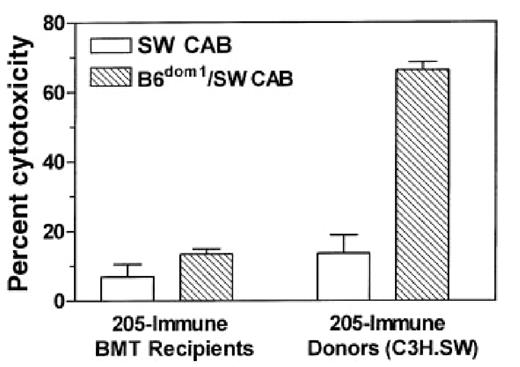 Fig. 10. Unresponsiveness to the recipient mHAg B6dom1 is not reversed by post-transplant tumor immunization of recipients. / One month after BMT, allogeneic BMT recipients or control C3H.SW donors were immunized twice with irradiated 205IL-2/TK cells at a 1-week interval. Ten days after the second vaccine, their splenocytes were stimulated for 5 days in vitro with B6dom1-loaded C3H.SW spleen cells. A 51Cr-release assay was then performed using C3H.SW ConA lymphoblast targets that were either loaded with B6dom1 peptide (B6dom1/SW CAB) or not loaded with peptide (SW CAB). Data shown are at an E:T ratio of 50:1, and each effector:target condition was performed in triplicate using splenocytes pooled from 2 or 3 mice.