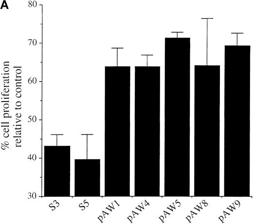 Fig. 3. Ectopic expression of A-Myb rescues WEHI 231 cells from anti-IgM–induced cell cycle arrest and apoptosis. / (A) Cultures of clones S3, S5, pAW1, pAW4, pAW5, pAW8, and pAW9 were incubated, in triplicate, for 48 hours in the presence of 2 μg/mL anti-IgM antibody or medium alone as control. Cell proliferation was quantitated by conversion of MTS dye to its formazan product. Data are plotted as the percentage of converted formazan by anti-IgM–treated cells relative to that of control cells. (B) S3, S5 PAW5 and pAW9 cells were incubated, in triplicate, for 24 or 48 hours in medium or with 2 μg anti-IgM (αIgM) and cell viability was determined by trypan blue exclusion assay. Trypan blue positive cell numbers are plotted as a percentage of the total cell number. The mean and SD are representative of 2 independent experiments carried out in triplicate.