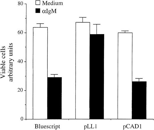Fig. 4. A-Myb rescues CH33 lymphoma cells from anti-IgM–mediated apoptosis. / CH33 cells were transiently transfected by electroporation with 5 μg pON407 β-Gal expression vector in the presence or absence of 10 μg pLL1 or pCAD1 A-myb expression vectors, or Bluescript DNA, as control. The 2 μg/mL anti-IgM antibody was added to the medium 6 hours after transfection and cells were incubated for an additional 24 hours. Cellular lysates were subjected to β-Gal assay and absorbance quantitated in arbitrary units (vertical axis). The mean and SD are representative of 2 separate experiments, each carried out in triplicate.