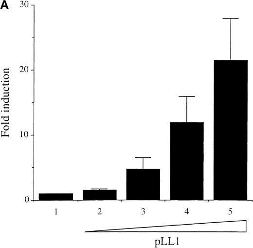 Fig. 5. Wild-type A-Myb but not a DNA binding deletion mutant A-Myb transactivates the c-myc promoter in WEHI 231 cells. / (A) Exponentially growing WEHI 231 cells were electroporated, in duplicate, with 10 μg p1.6 Bgl in the absence (bar 1) or in the presence of 1, 5, 10, and 20 μg (bars 2-5, respectively) of the pLL1 A-myb vector, plus pECE parental vector DNA to have a final total DNA of 50 μg. Cell extracts were normalized for β-Gal expression and assayed for CAT activity. The data are presented as fold induction relative to the value of the p1.6 Bgl alone set at 1.0. Mean and SD were obtained from 2 independent experiments. (B) WEHI 231 cells were transiently transfected as described above, in the absence or in the presence of 2.5 μg of the empty pECE vector (bars 1-3) or 2.5 μg of the pLL1 A-myb construct (bars 4-7) with (bars 2, 3, 5, 6, and 7) or without (bars 1 and 4) increasing amounts of the pCAD1 vector: 5 μg (bars 2 and 5), 10 μg (bars 3 and 6), 20 μg (bar 7). CAT activity was determined as above and the data are representative of 2 experiments carried out in duplicate.