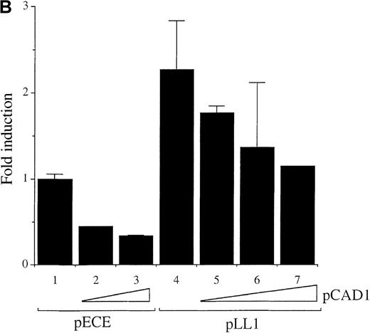 Fig. 5. Wild-type A-Myb but not a DNA binding deletion mutant A-Myb transactivates the c-myc promoter in WEHI 231 cells. / (A) Exponentially growing WEHI 231 cells were electroporated, in duplicate, with 10 μg p1.6 Bgl in the absence (bar 1) or in the presence of 1, 5, 10, and 20 μg (bars 2-5, respectively) of the pLL1 A-myb vector, plus pECE parental vector DNA to have a final total DNA of 50 μg. Cell extracts were normalized for β-Gal expression and assayed for CAT activity. The data are presented as fold induction relative to the value of the p1.6 Bgl alone set at 1.0. Mean and SD were obtained from 2 independent experiments. (B) WEHI 231 cells were transiently transfected as described above, in the absence or in the presence of 2.5 μg of the empty pECE vector (bars 1-3) or 2.5 μg of the pLL1 A-myb construct (bars 4-7) with (bars 2, 3, 5, 6, and 7) or without (bars 1 and 4) increasing amounts of the pCAD1 vector: 5 μg (bars 2 and 5), 10 μg (bars 3 and 6), 20 μg (bar 7). CAT activity was determined as above and the data are representative of 2 experiments carried out in duplicate.