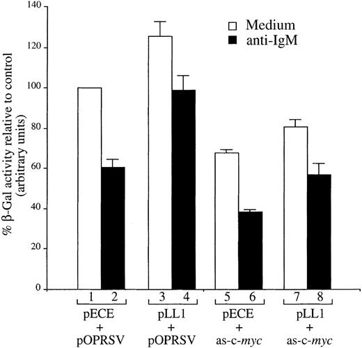 Fig. 7. Cotransfection of a c-myc antisense expression vector ablates rescue of WEHI 231 cells from anti-IgM–mediated apoptosis by A-Myb. / WEHI 231 cells were transiently transfected by electroporation with 10 μg pON407 β-Gal expression vector in the presence of 10 μg either pLL1 or pECE, empty vector, in combination with 10 μg of either pOPRSV-as-c-myc or pOPRSV parental vector. Cultures were either left untreated (white bars) or treated 6 hours after transfection with 2 μg/mL anti-IgM antibody for an additional 24 hours (black bars). Cellular lysates were subjected to β-Gal assay and absorbance expressed as percentage of untreated cells transfected with control vectors alone (lane 1). The mean and SD are representative of 2 separate experiments, each carried out in duplicate.
