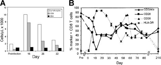 Fig. 2. Expanded CD8 T cells during acute infectious mononucleosis down-modulate CD3ζ and CD28 and up-regulate cell surface expression of T-cell activation markers. / (A) Lymphocyte expansion in subject AI-1 is primarily in the CD8 T-cell subset. (B) Expansion of CD3ζ− and CD28− CD8 T cells occurs in parallel in acute infectious mononucleosis. Initially, a larger proportion of expanded cells expressed CD38 and HLA-DR than down-modulated CD3ζ and CD28. In a post-convalescence sample 7 months later, the proportion of CD3ζ− and CD28− CD8 T cells remained elevated and encompassed approximately half of all CD8 T cells, whereas CD38 and HLA-DR expression returned to baseline values. Flow cytometry was performed on gated CD8−Cy5 bright lymphocytes.