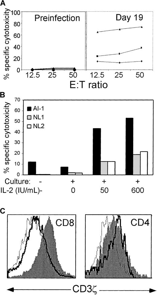 Fig. 5. Antigen-specific cytotoxicity is dramatically increased after overnight culture in IL-2, which also restores CD3ζ expression. / (A) PBMC from subject AI-1, obtained 19 days after the onset of symptoms, were tested for specific cytotoxicity in a 4-hour51Cr release assay against autologous EBV-transformed B-LCL. PBMC were either uncultured (♦) or cultured with (▴) or without (▪) added IL-2 (600 IU/mL). Overnight culture in IL-2 did not induce lysis by preinfection samples. (B) The enhanced cytotoxicity detected after overnight culture in IL-2 is predominantly antigen-specific. Cytotoxicity of fresh or cultured day 19 PBMC was assayed at an E:T ratio of 20:1 against autologous AI-1 B-LCL and against B-LCL from 2 normal donors, who did not share HLA class I alleles with subject AI-1. (C) Histograms of CD3ζ expression on gated CD4+ and bright CD8+ cells. The solid line depicts uncultured cells, the dotted line represents the cells cultured in the absence of IL-2, and the filled histogram denotes cells cultured in IL-2. Before culture, CD3ζ expression on virtually all CD4 T cells is above background B-cell staining. After culture in IL-2, the mean fluorescence intensity of CD8 T cells becomes comparable to that of CD4 T cells.