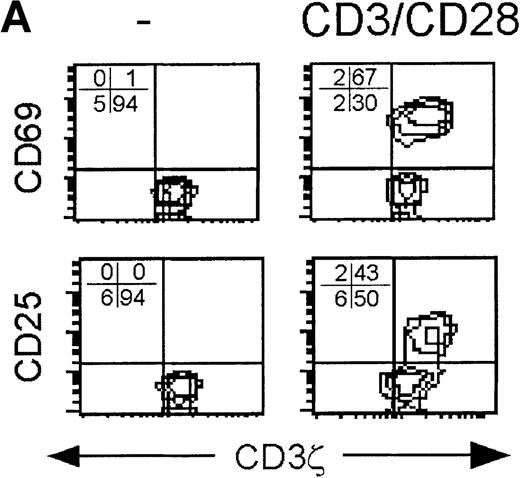 Fig. 4. CD3ζ− CD8 T cells are not activated by CD3ε/CD28 cross-linking to express the high-affinity IL-2 receptor. / Cell surface expression of the early activation markers CD69 and CD25 was measured on gated CD8 T cells after overnight culture without activation (left) or with activation by either low concentration anti-CD3ε and anti-CD28 (middle) or with high concentration anti-CD3ε and PMA (right). Samples shown were obtained from (A) a normal donor, (B) subject AI-1 on day 19 and day 54, and (C) subject AI-2 on day 11 and day 100. The level of cell surface expression of CD69 in the induced patient samples was also somewhat reduced in the CD3ζ− down-modulated population.