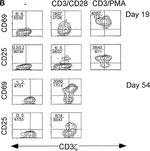 Fig. 4. CD3ζ− CD8 T cells are not activated by CD3ε/CD28 cross-linking to express the high-affinity IL-2 receptor. / Cell surface expression of the early activation markers CD69 and CD25 was measured on gated CD8 T cells after overnight culture without activation (left) or with activation by either low concentration anti-CD3ε and anti-CD28 (middle) or with high concentration anti-CD3ε and PMA (right). Samples shown were obtained from (A) a normal donor, (B) subject AI-1 on day 19 and day 54, and (C) subject AI-2 on day 11 and day 100. The level of cell surface expression of CD69 in the induced patient samples was also somewhat reduced in the CD3ζ− down-modulated population.