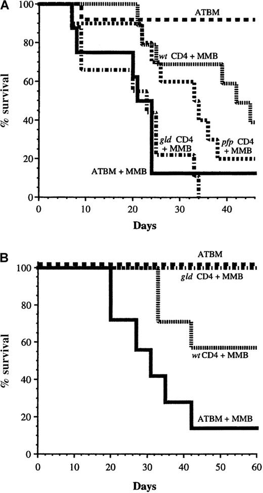 Fig. 5. Role of perforin and FasL in CD4+T-cell–mediated GVL. / We injected B6 mice with MMB3.19 cells and lethally irradiated them the next day. (A) The recipient mice received ATBM cells alone (n = 8) or ATBM cells in combination with 2 × 106MMB3.19-primed CD4+ T cells from either wt(n = 10), pfpo (n = 10), orgld (n = 9) donor B6 mice. (B) The mice received ATBM cells alone (n = 7) or ATBM cells in combination with 1 × 107MMB3.19-primed CD4-enriched wt splenocytes (n = 7) or 5 × 107 gld CD4-enriched splenocytes (n = 6). The survival of mice was monitored daily until termination of the experiment. The results in panels A and B represent pooled data from 2 similar experiments and a single experiment, respectively.