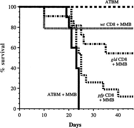 Fig. 6. Role of perforin and FasL in CD8+T-cell–mediated GVL. / We injected B6 mice with MMB3.19 cells and lethally irradiated them the next day. These recipient mice received ATBM cells alone (n = 10) or in combination with 5 × 106 MMB3.19-primed CD8+ T cells from either wt (n = 10), pfpo (n = 15), or gld (n = 11) donor B6 mice. Survival of the mice was monitored daily until termination of the experiment. The results represent pooled data from 2 similar experiments.