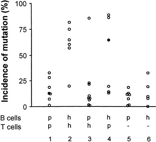 Fig. 2. Incidence of somatically mutated VHtranscripts in lymphocyte cocultures is dependent primarily on the source of B cells. / Accumulation of somatic mutation was assessed by sequential hybridization as described.714-16 The results are presented as the percentage of VH transcripts that have acquired 1 or more mutations in either of two 21–base-pair (bp) target sequences.71415 In the Figure, h indicates healthy subject; p, BMT patient, (−), T cells replaced by CD40 ligand and L cells. Closed circles indicate sources of transcripts selected for sequence analysis (see also Figure 4).