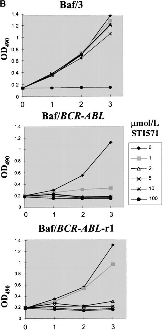 Fig. 1. Growth characteristics of BCR-ABL–transformed Baf/3 cells resistant to STI571. / (A) Cell viability assessed by trypan blue exclusion of Baf/BCR-ABL cells (⧫) and Baf/BCR-ABL cloned in 1 μmol/L STI571 (Baf/BCR-ABL-r1) (▪), treated (▵) or not treated (X) with 1 μmol/L STI571. (B) Cell proliferation of Baf/3 cells, Baf/BCR-ABL-s, and Baf/BCR-ABL-r1 under the effect of various concentrations of STI571, as assessed by MTS uptake. Results are expressed as the mean OD490 of quadruplicate cultures, which is directly proportional to the number of viable cells.