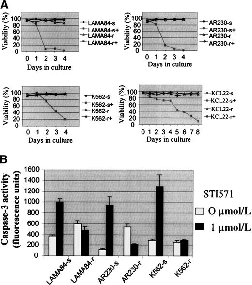 Fig. 2. Growth characteristics of the human CML cell lines resistant to STI571. / (A) Cell viability assessed by trypan blue exclusion of LAMA84, AR230, K562, and KCL22 sensitive (s) and resistant (r) clones cultured in the presence (+) or absence of 1 μmol/L STI571. (B) Caspase 3 activity in 105 cells after 3 days in culture without (0 μmol/L) or with (1 μmol/L) STI571. Results represent the mean ± SD of triplicate cultures.