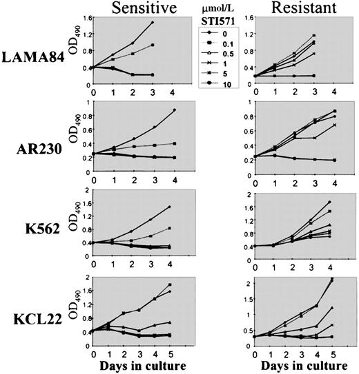 Fig. 3. Cell proliferation of LAMA84, AR230, K562, and KCL22 sensitive (s) and resistant (r) clones under the effect of various concentrations of STI571, as assessed by MTS uptake. / Results are expressed as the mean OD490 of quadruplicate cultures, which is directly proportional to the number of viable cells.