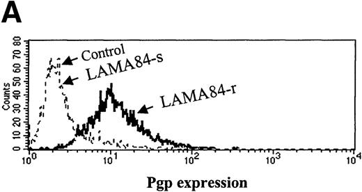 Fig. 9. Expression and function of the Pgp MDR-1 gene product in LAMA84. / (A) Flow cytometric analysis of Pgp expression in LAMA84-r and LAMA84-s clones. Note that the histogram for the latter overlaps that of cells stained with the isotypic control. (B) Effect of verapamil on the viability of LAMA84-r cells incubated with 1 μmol/L (left panel) or 2 μmol/L (right panel) STI571. (C) Effect of verapamil on the IC50 of LAMA84 cells. Upper panels show Western blots of LAMA84-s, LAMA84-r, and LAMA84-r treated with verapamil for 2 hours, probed with an anti-phosphotyrosine (pTyr) and with anti-Abl (Bcr-Abl band shown) or anti-actin antibodies. Lower panel illustrates the decrease in the IC50 for Bcr-Abl phosphorylation in LAMA84-r cells exposed to verapamil (VP), as calculated by densitometric analysis of the ratio pTyr-Bcr-Abl/Bcr-Abl or pTyr-Bcr-Abl/actin. We have ascertained that verapamil does not modify the IC50 in LAMA84-s cells (data not shown).