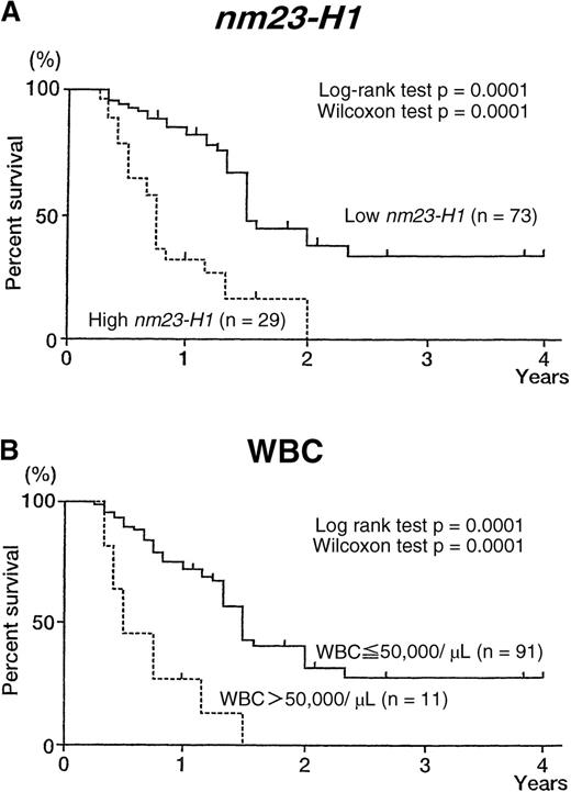 Fig. 3. Overall survival curves of patients with AML, according to nm23-H1 level and WBC count. / (A) Patients with high nm23-H1 levels (≥ 80 ng/mL; n = 29) had a worse prognosis than those with low nm23-H1 levels (< 80 ng/mL; n = 73). (B) Patients with a high WBC count (> 50 000/μL; n = 11) had a worse prognosis than those with a low WBC count (≤ 50 000/μL; n = 91).