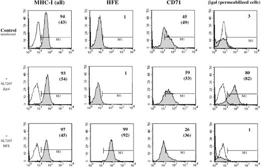 Fig. 3. Cell surface expression of HFE in transfected macrophages. / Human macrophages from a patient with HC were infected in vitro withSalmonella strain SL7207 carrying either the pCMV-βgal (middle panels) or the pCMV-HFE (lower panels) plasmid. Results from a representative experiment in which cells were analyzed for gene expression by FACS 48 hours after infection using monoclonal antibodies against major histocompatibility class I, HFE, CD71, and βgal followed by a PE-conjugated anti-murine IgG polyclonal antibody. Appropriate isotype-matched monoclonal antibody controls have been used for instrument settings (empty histograms). Detection of βgal expression was performed after saponin-mediated permeabilization of monocytes. Percentage of positive cells and mean values of fluorescence (in brackets) are reported for each single histogram. Basal expression level for each marker in untreated HC–monocytes is also shown (upper panel).