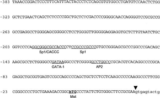 Fig. 2. The 5′ flanking genomic DNA sequence. / The nucleotide sequence of the 5′ flanking genomic DNA of the human ankyrin-1 gene is shown. Consensus sequences for potential DNA-protein binding sites are underlined. The location of the initiator methionine codon is underlined and in bold. The junction between exon 1 and intron 1 is shown by the inverted triangle.