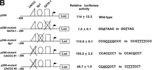 Fig. 4. Activity of the ankyrin-1 gene erythroid promoter in erythroid and nonerythroid cell lines in transient transfection assays. / (A) Plasmids containing 5′ flanking DNA of the ankyrin-1 gene upstream of a firefly luciferase reporter gene were transfected into K562, HEL, and SY5Y (human neuroblastoma), or HeLa cells and relative luciferase activity determined as described. The data are means ± SD of at least 6 independent transfection experiments. (B) Promoter/reporter plasmids containing mutations in consensus DNA-protein binding sites of the ankyrin-1 gene promoter, denoted by the “X” and listed to the right, were transiently transfected into K562 cells and relative luciferase reporter gene expression determined as described.
