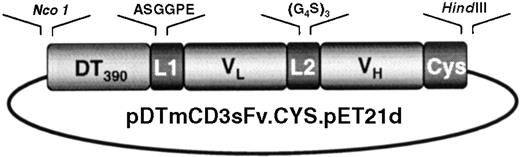 Fig. 1. Construct encoding the SS2 fusion toxin gene fragment used in these studies. / A Nco 1/HindIII gene fragment was cloned by PCR and splice overlap extension encoding DT390, a 5 amino acid connector, the downstream anti-CD3 sFv derived from the 11452C11 hybridoma, and a cysteine residue on the c-terminus. The gene was cloned into the pET21d expression vector forming the plasmid pDTmCD3sFv.CYS.pET21d.